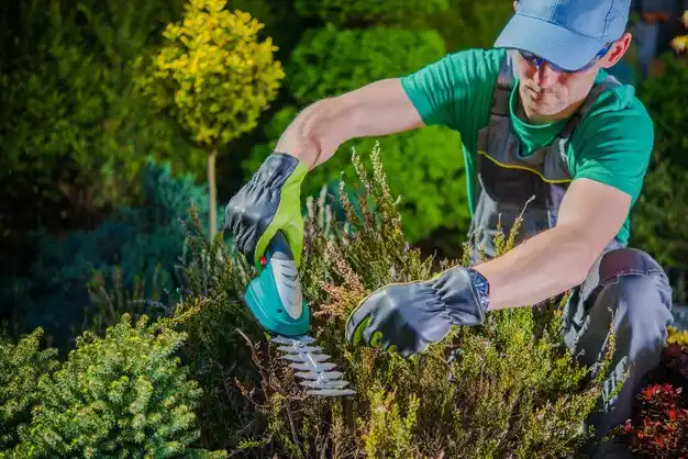landscaping services Buckner